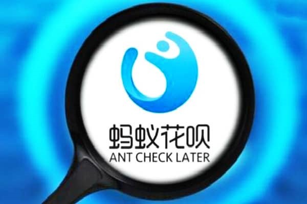 有什么好的自媒体账号？